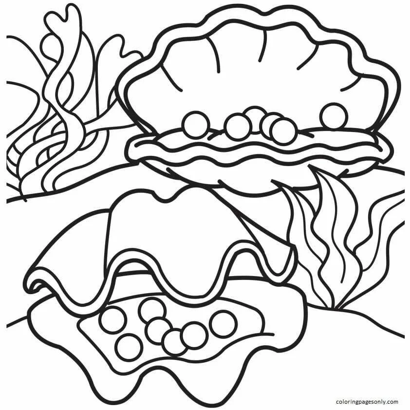 Clam Coloring Pages 8