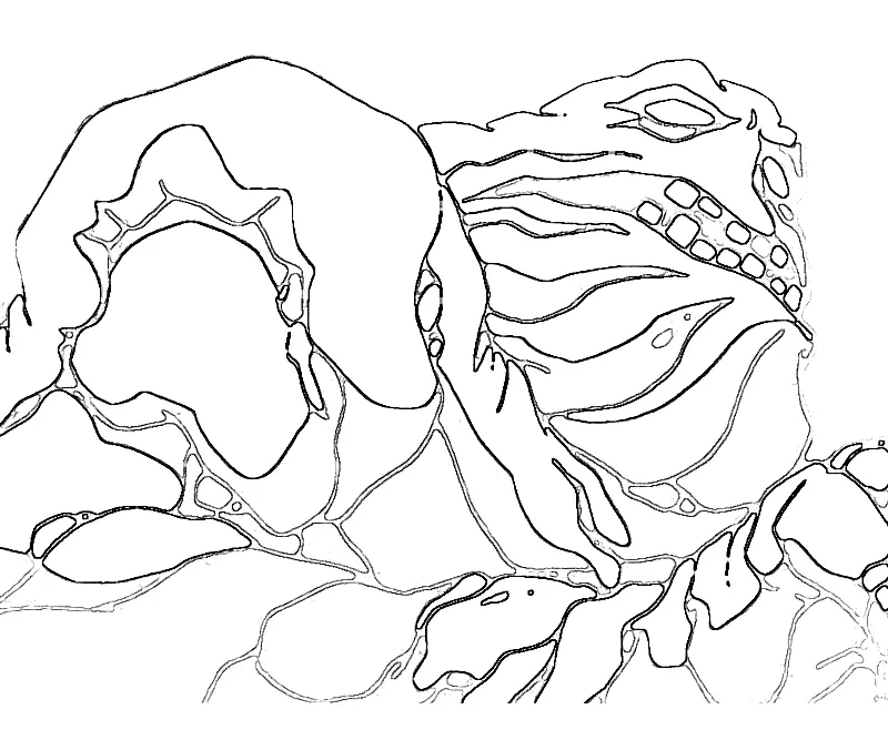 Clayface Ausmalbilder 20
