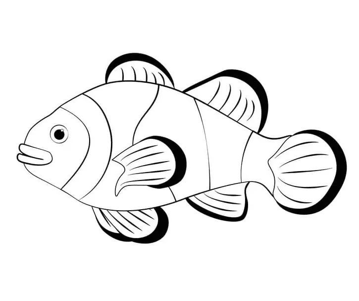 Desenhos de Peixe-Palhaco Para Colorir 3