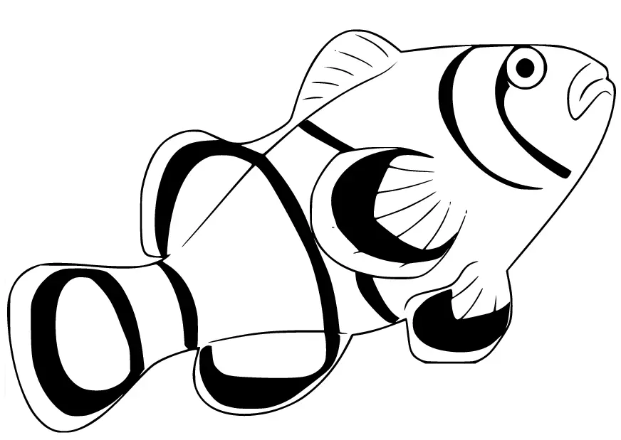 Desenhos de Peixe-Palhaco Para Colorir 39