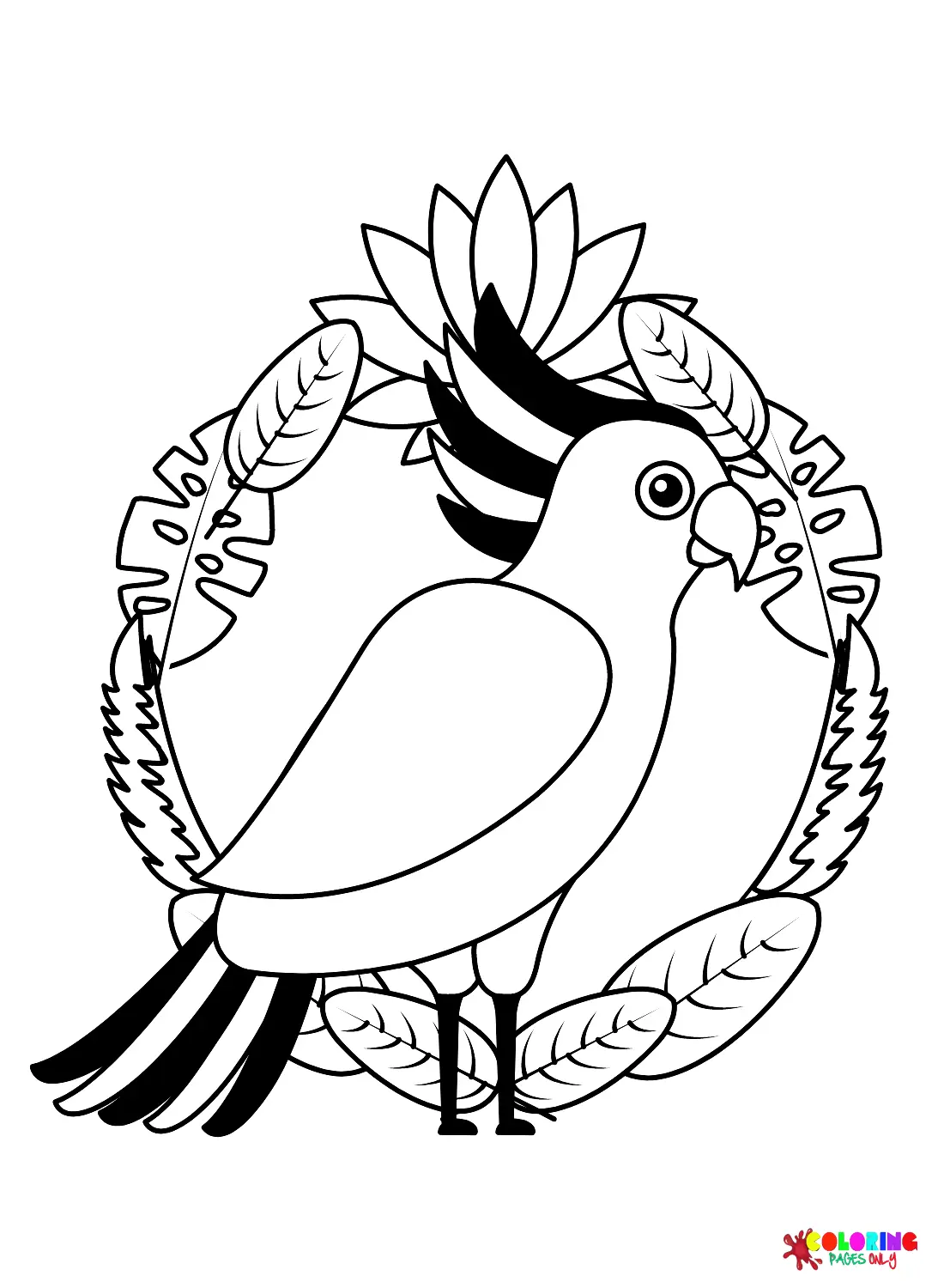 Cacatua Para Colorear 13