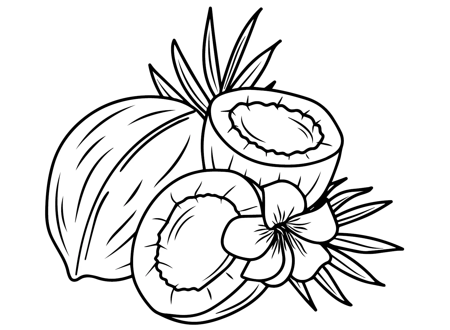 Coconut Coloring Pages 2