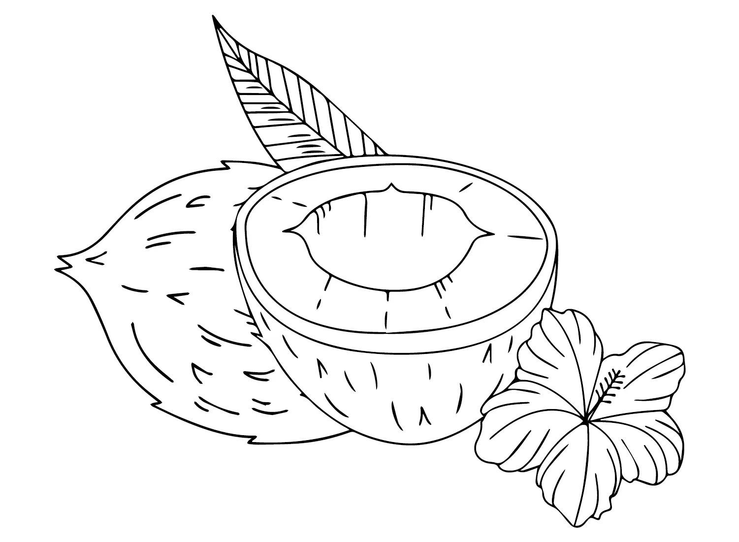 Coconut Coloring Pages 7