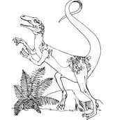 Coelophysis Coloring Pages 13