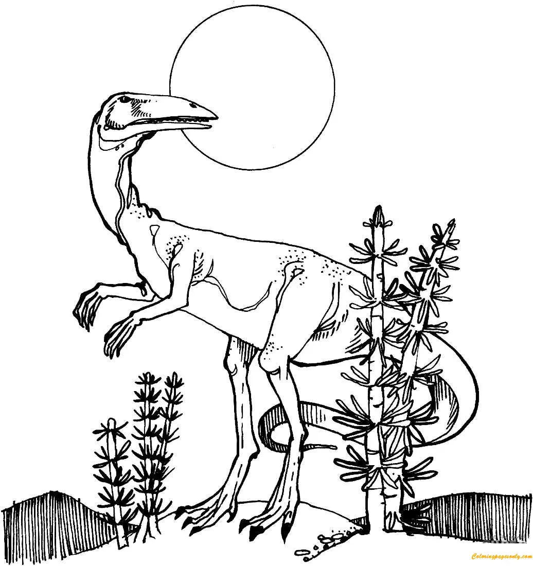 Coelophysis Para Colorear