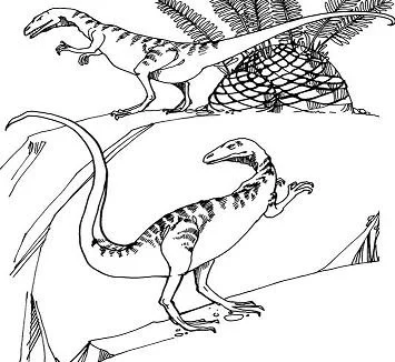 Coelophysis Coloring Pages 3