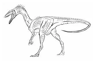 Coelophysis Coloring Pages 5