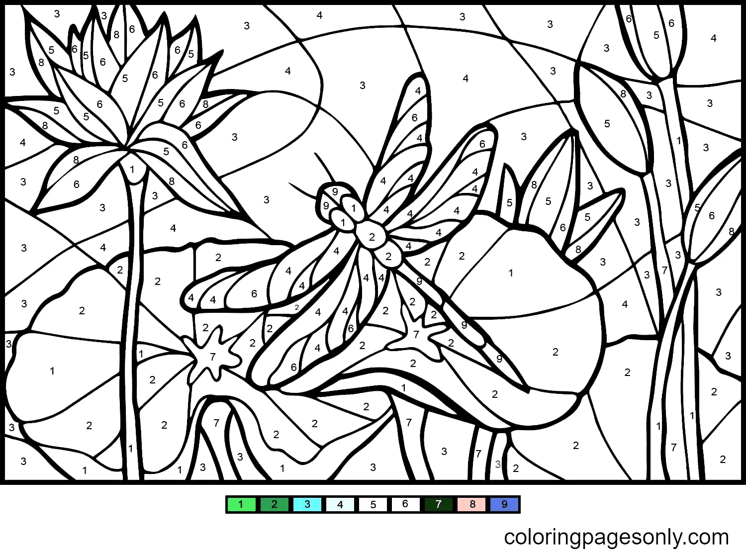 Color by Number Coloring Pages 47