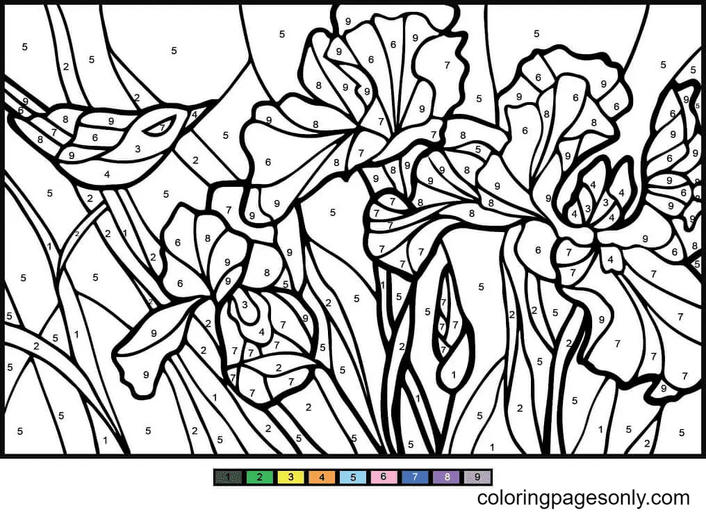 Color by Number Coloring Pages 73