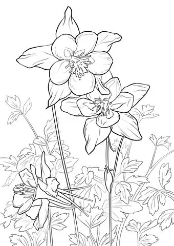 Colombinas Para Colorear 1