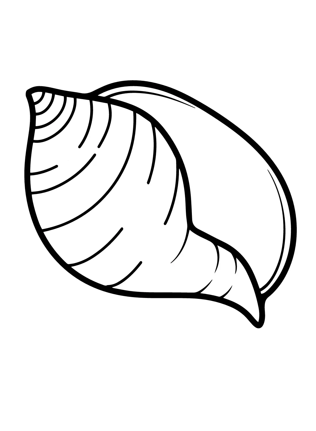 Conch Coloring Pages 9