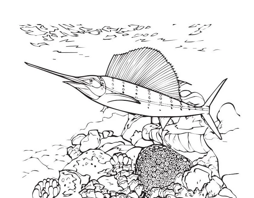 Arrecifes De Coral Para Colorear 107