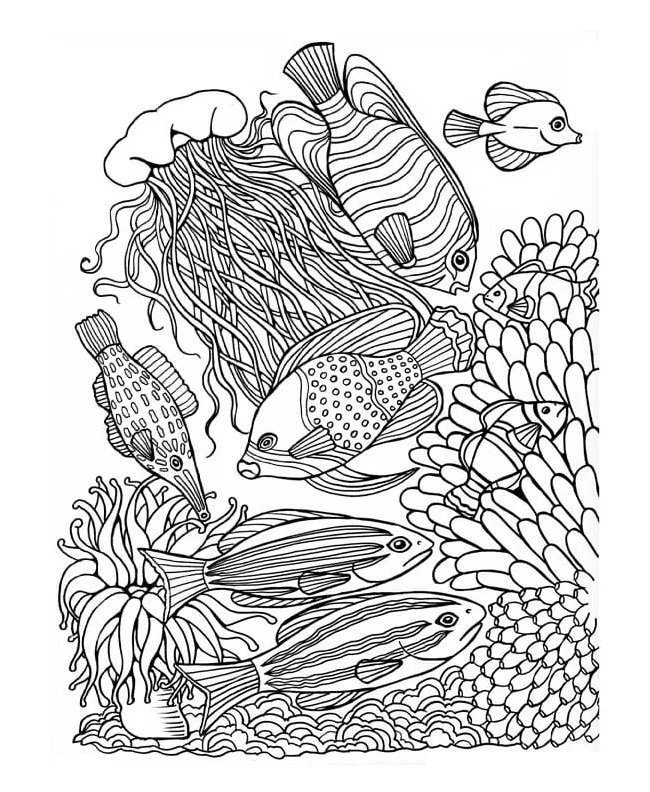 Arrecifes De Coral Para Colorear 15