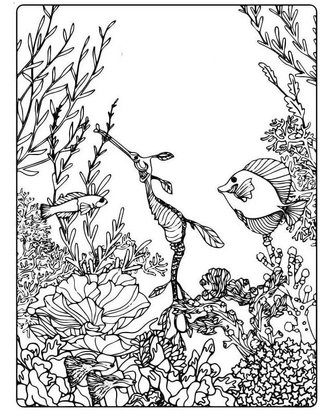 Arrecifes De Coral Para Colorear 16