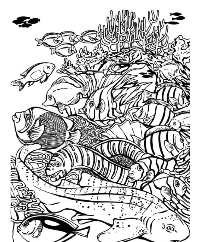 Arrecifes De Coral Para Colorear 17