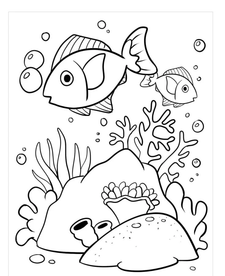 Arrecifes De Coral Para Colorear 19