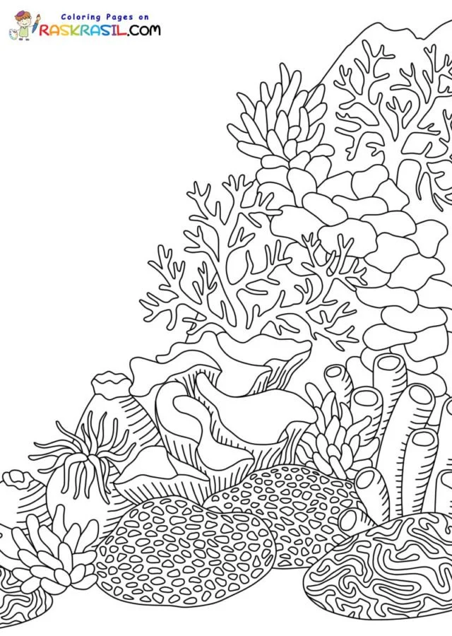Arrecifes De Coral Para Colorear 2
