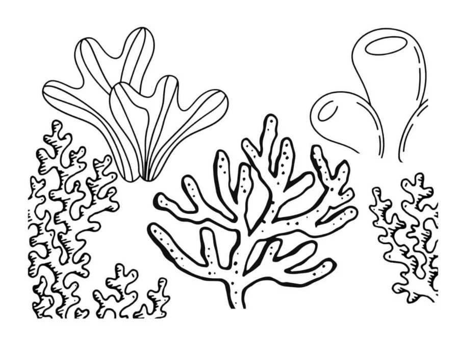 Arrecifes De Coral Para Colorear 25