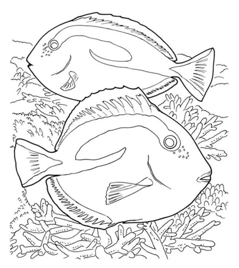 Arrecifes De Coral Para Colorear 43