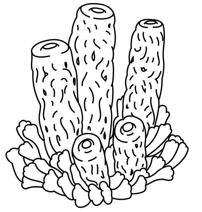 Arrecifes De Coral Para Colorear 52