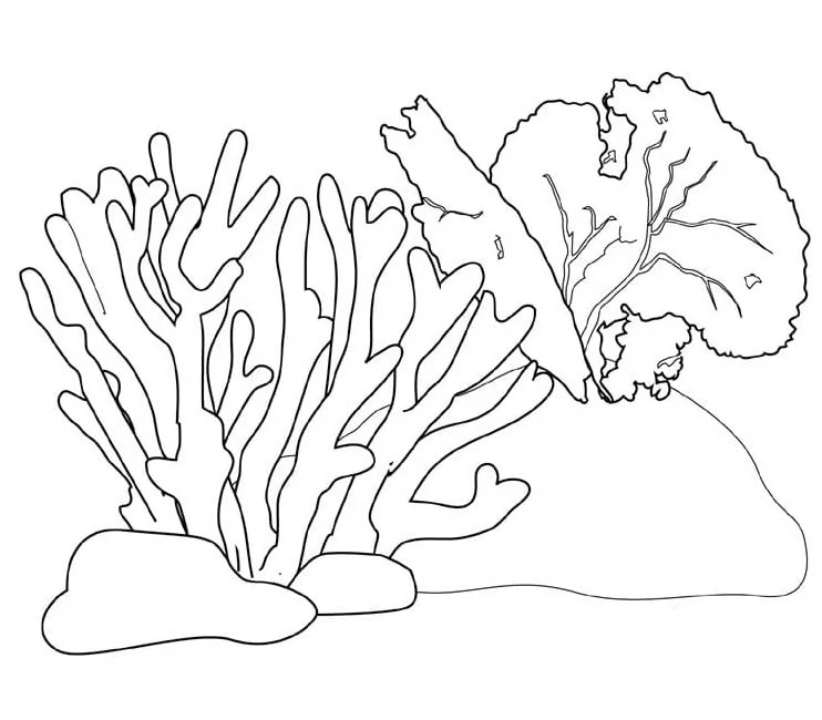Arrecifes De Coral Para Colorear 55