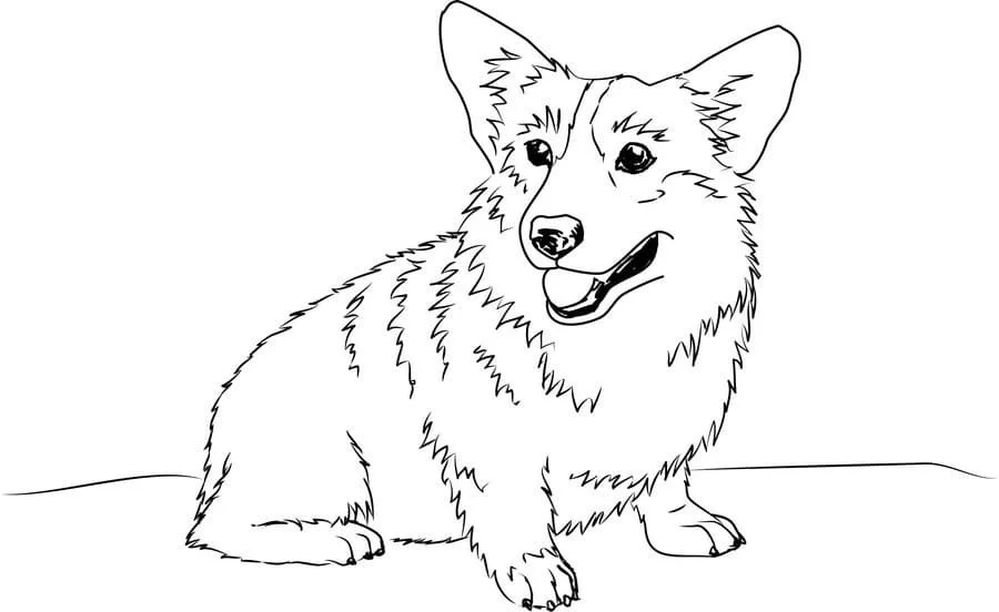 Corgi Coloring Pages 11