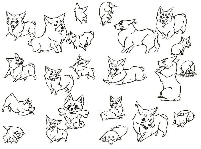 Corgi Coloring Pages 37