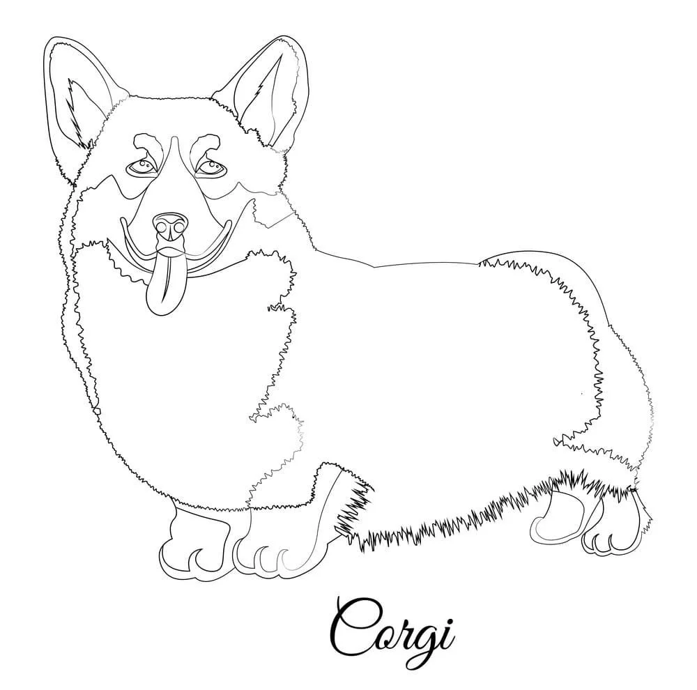 Corgi Coloring Pages 4
