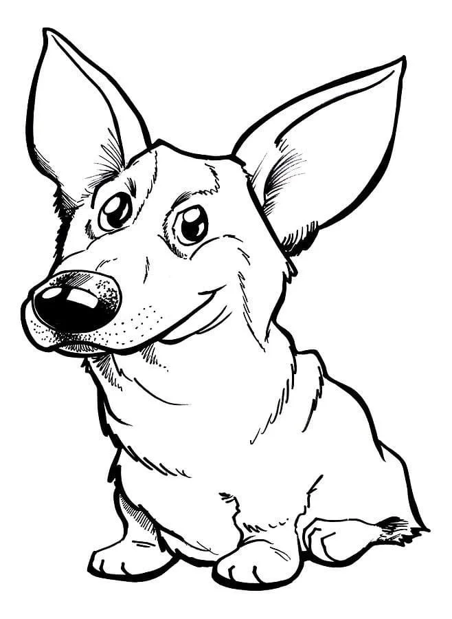 Corgi Coloring Pages 6