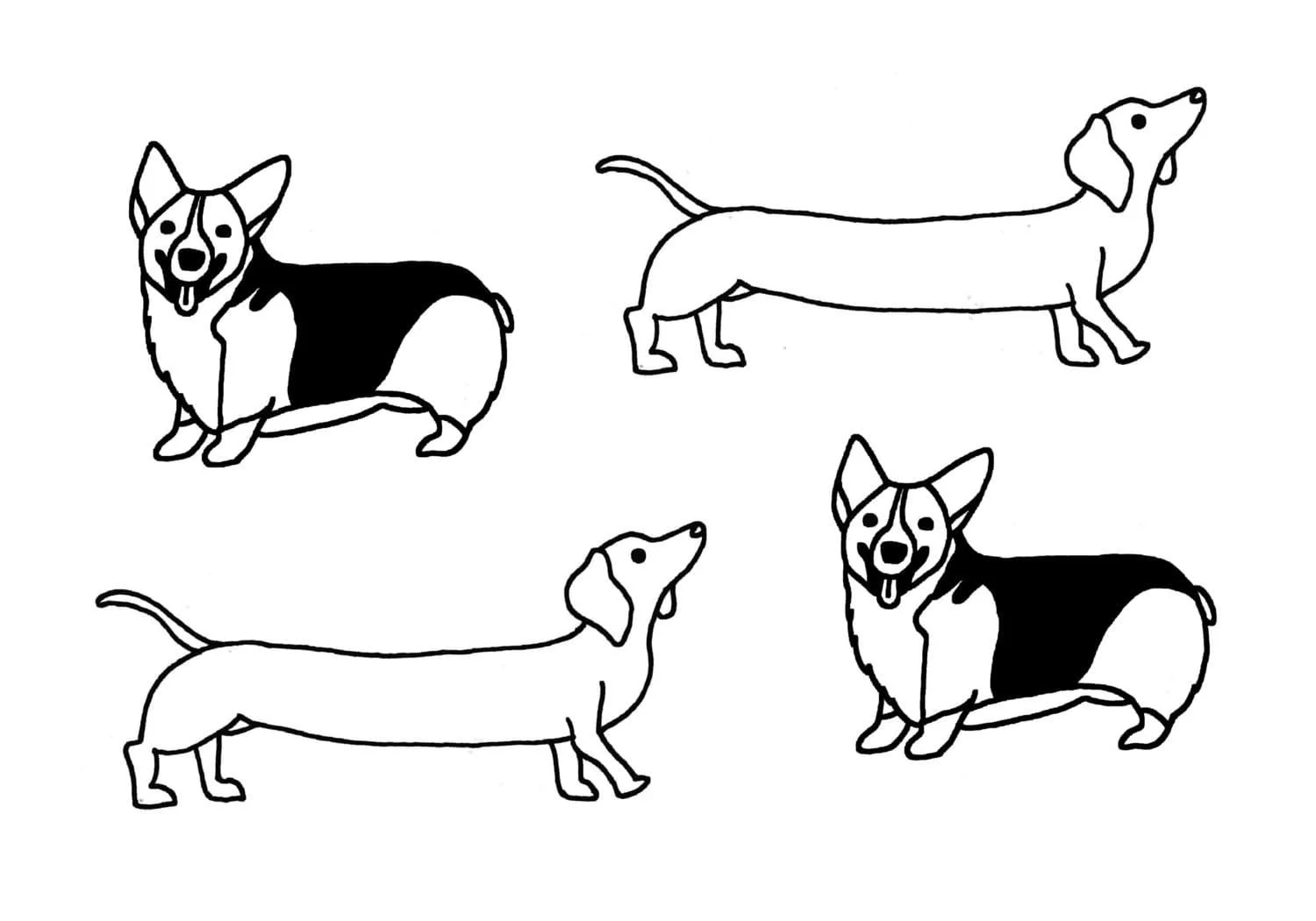 Corgi Coloring Pages 62