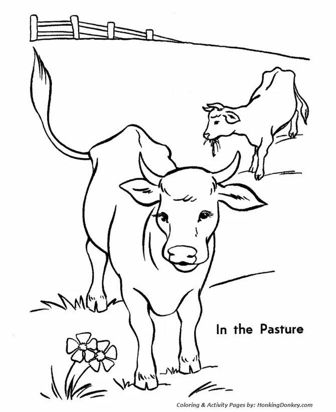 Desenhos de Cow Para Colorir 1