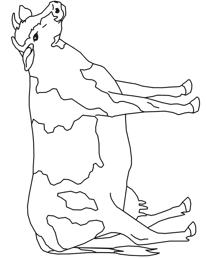 Desenhos de Cow Para Colorir 13