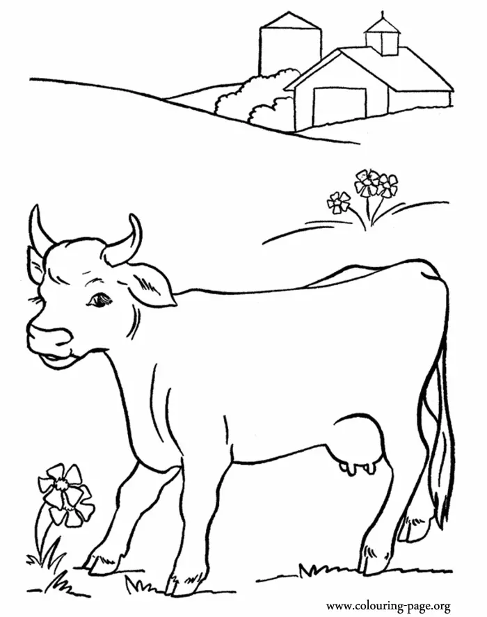 Desenhos de Cow Para Colorir 18