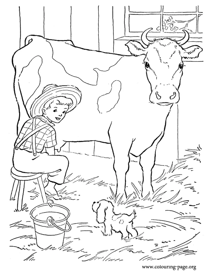 Desenhos de Cow Para Colorir 29