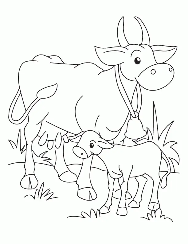 Desenhos de Cow Para Colorir 46