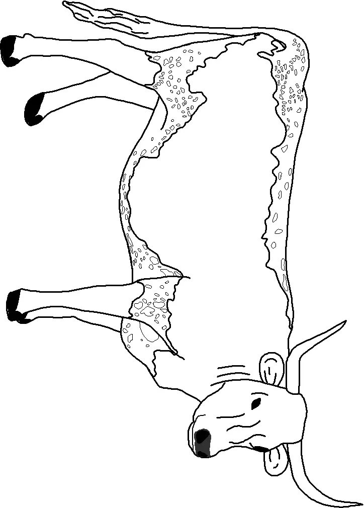 Desenhos de Cow Para Colorir 47