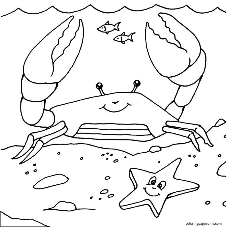 Krabben Ausmalbilder 6