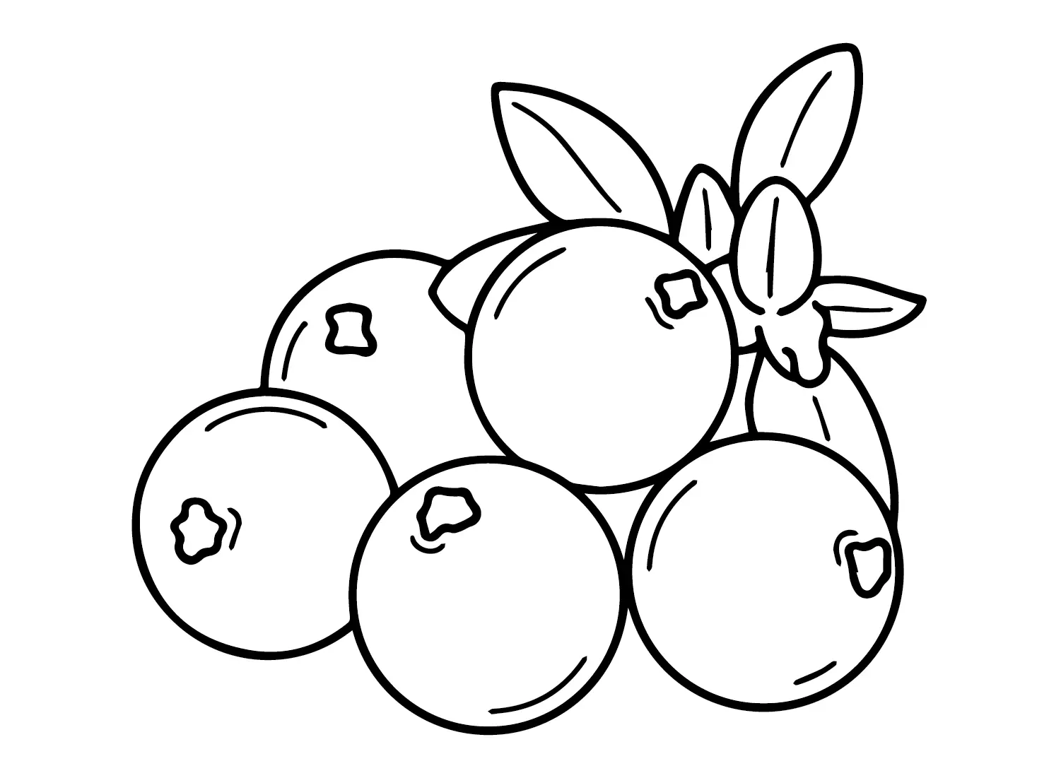 Desenhos de Oxicoco Para Colorir 1
