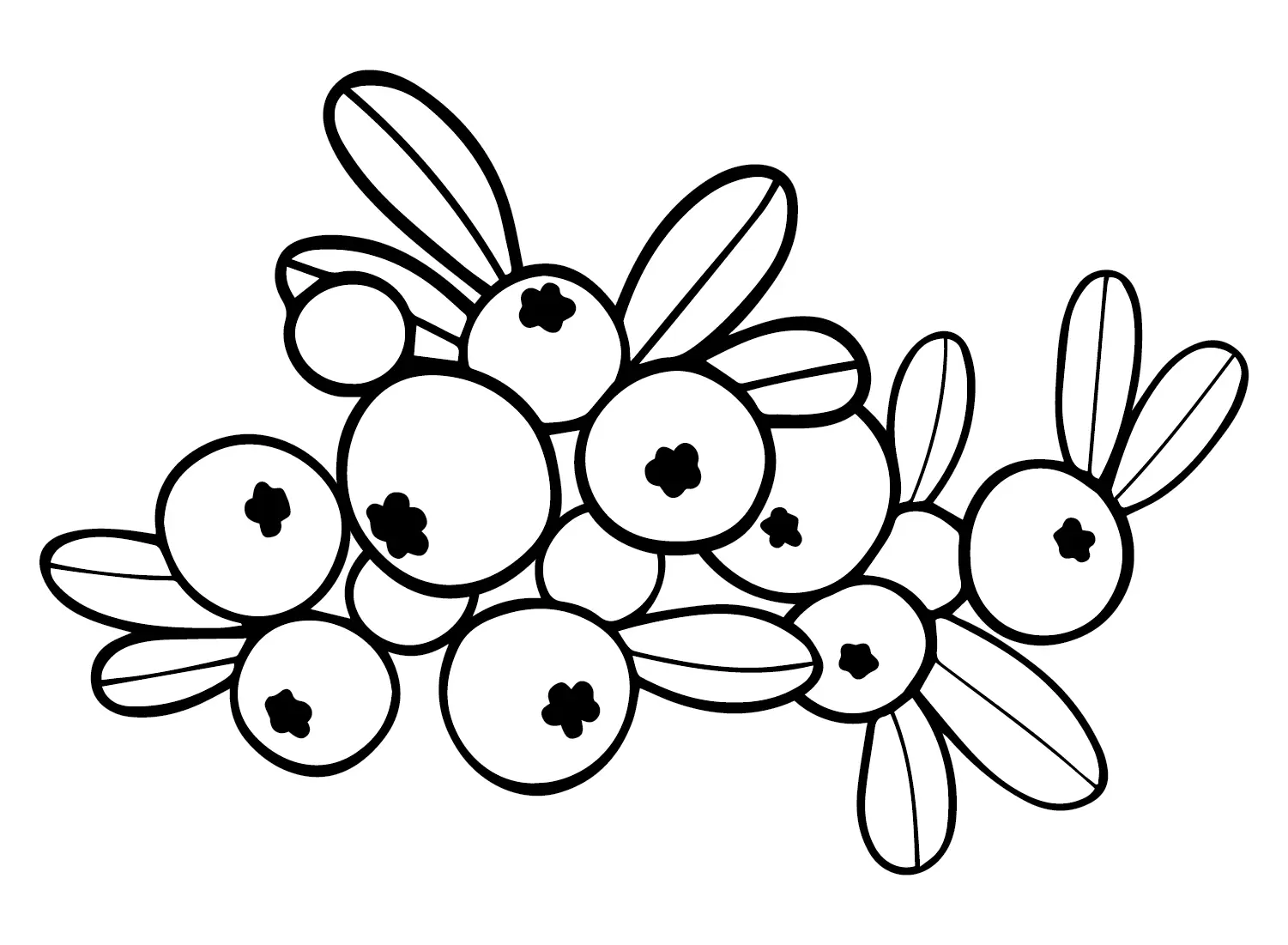 Desenhos de Oxicoco Para Colorir 15