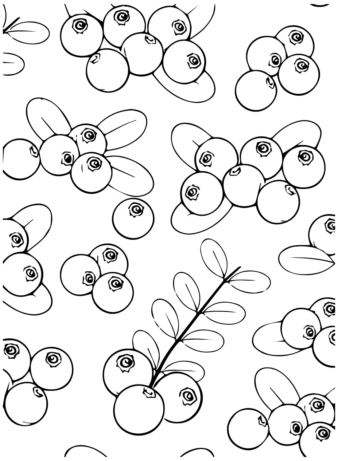 Desenhos de Oxicoco Para Colorir 16