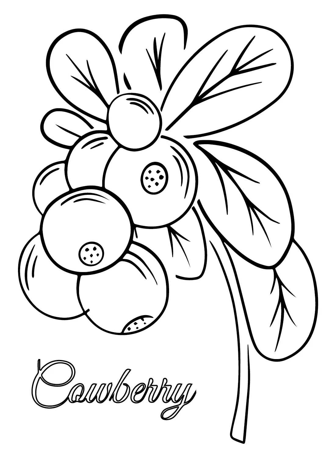 Desenhos de Oxicoco Para Colorir 2
