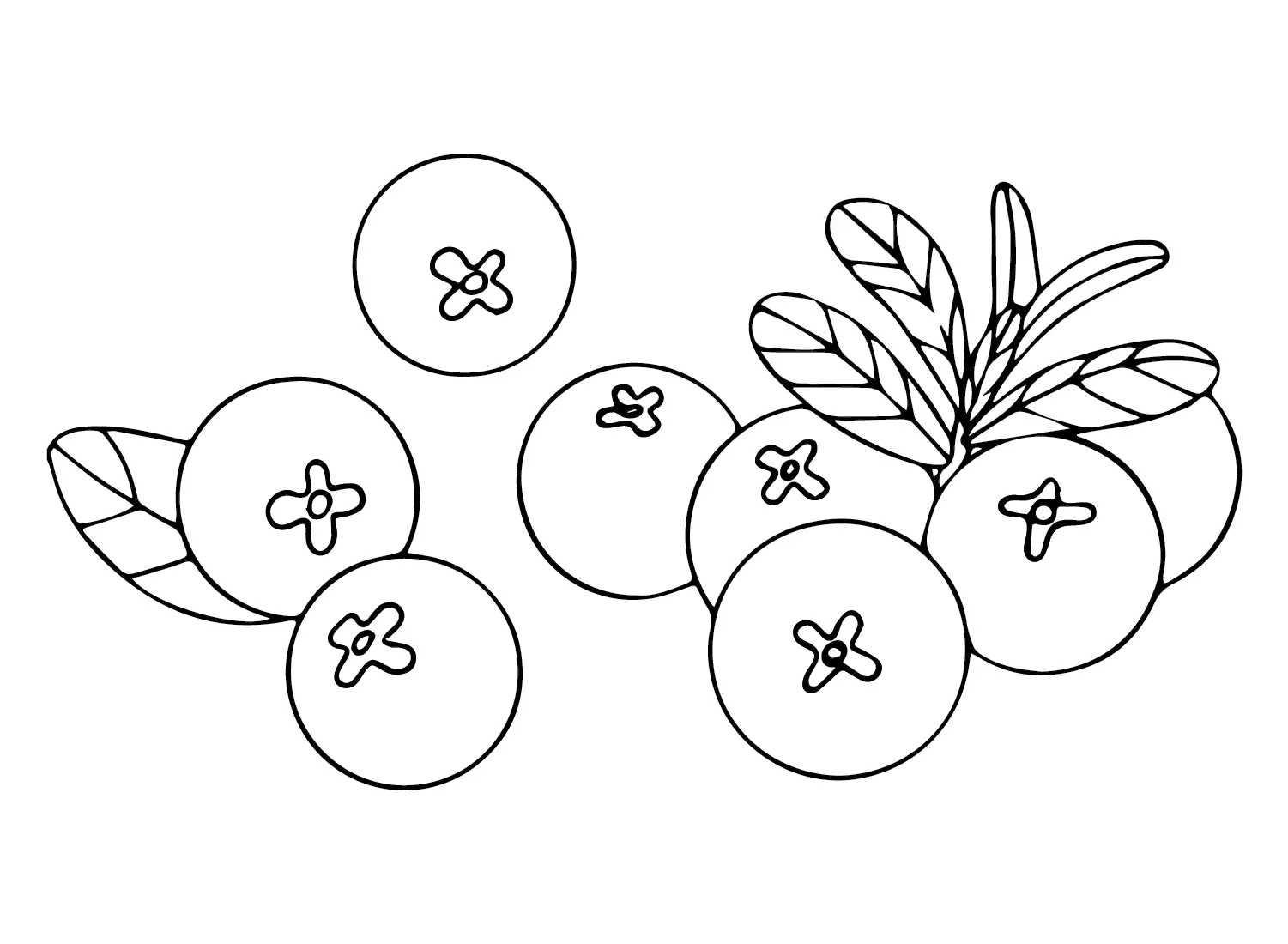Desenhos de Oxicoco Para Colorir 8