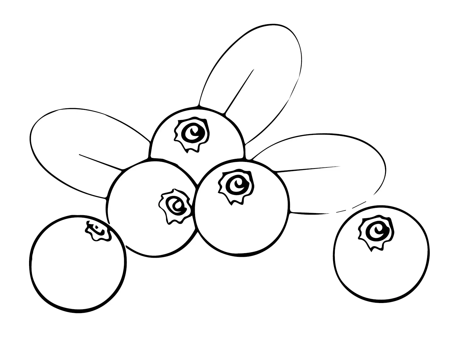 Desenhos de Oxicoco Para Colorir 9