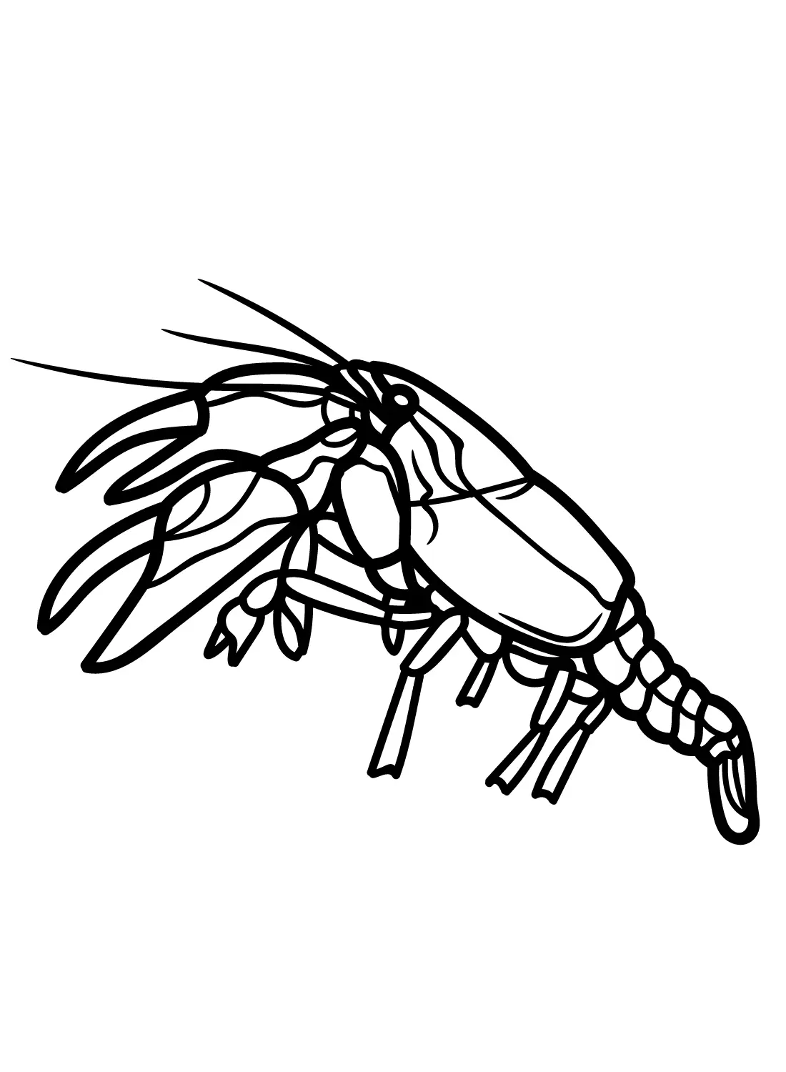 Crawfish Coloring Pages 13