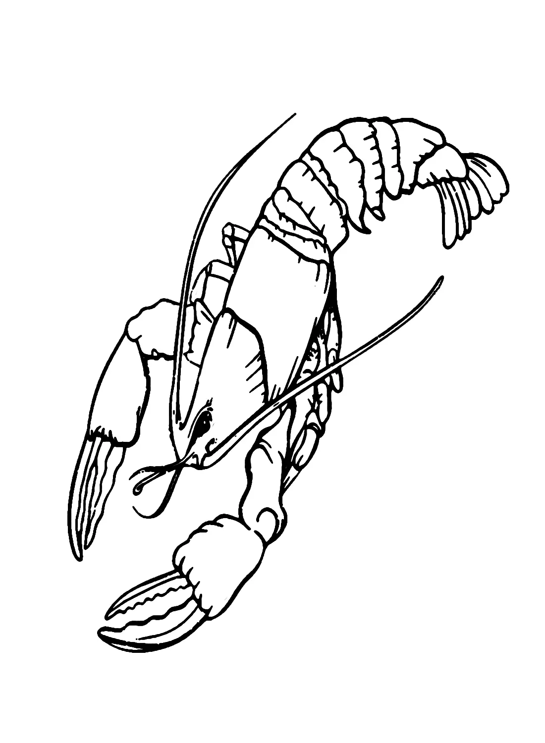 Crawfish Coloring Pages 21