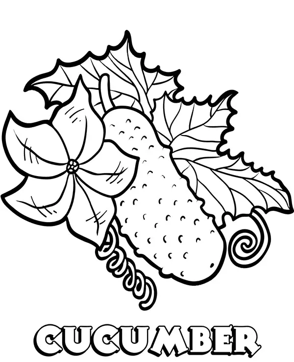 Cucumber Coloring Pages 1