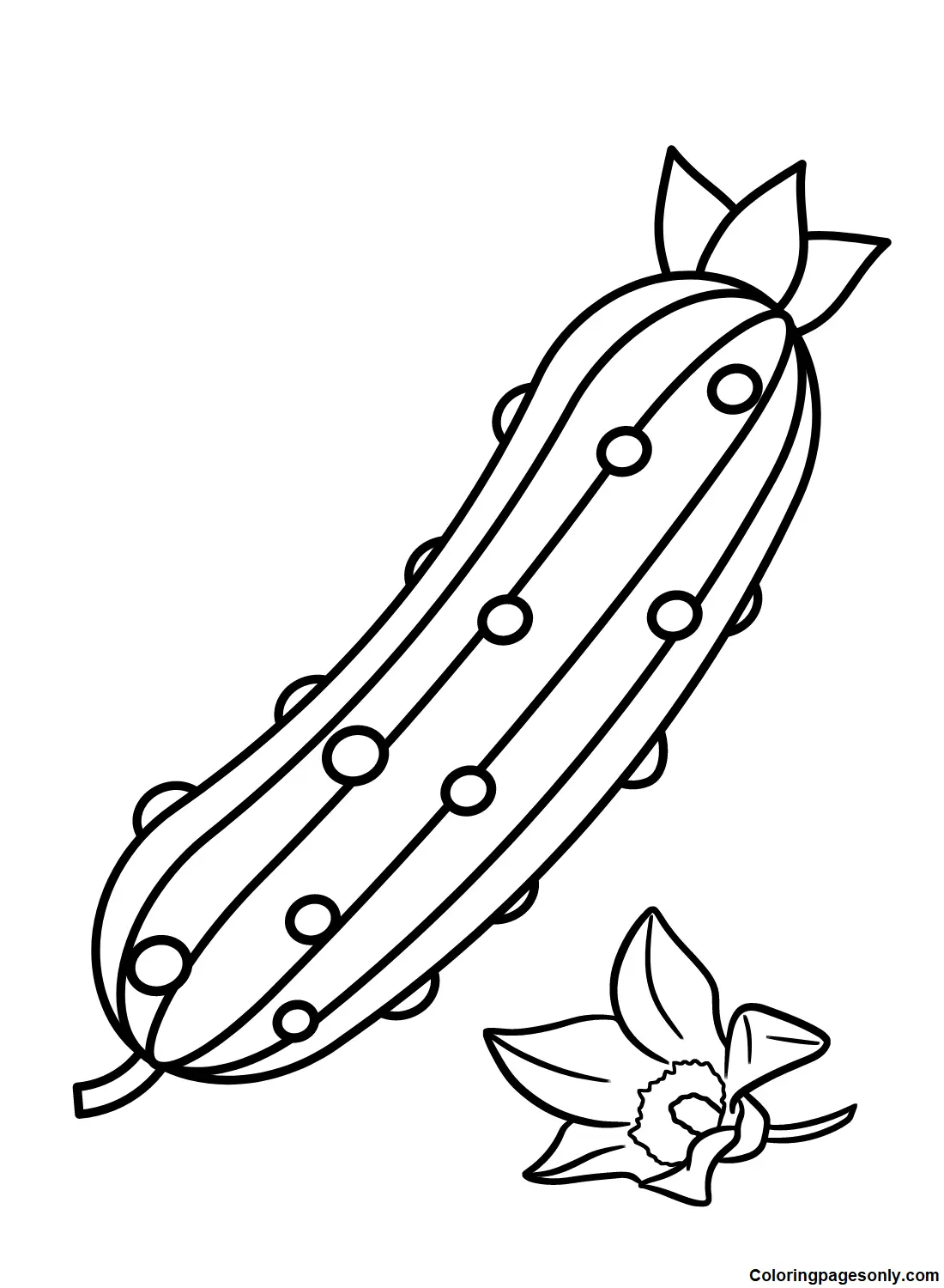 Cucumber Coloring Pages 11