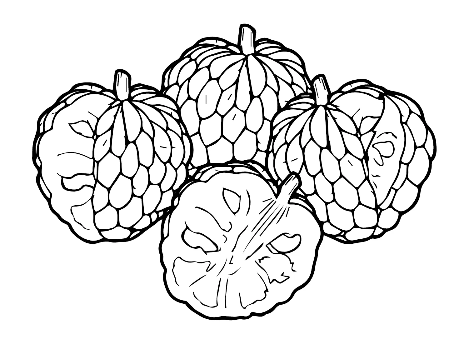 Custard Apple Coloring Pages 20