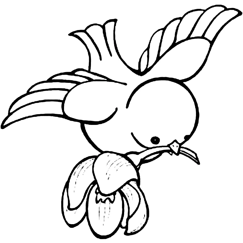 Desenhos de Passaro Fofo Para Colorir 21