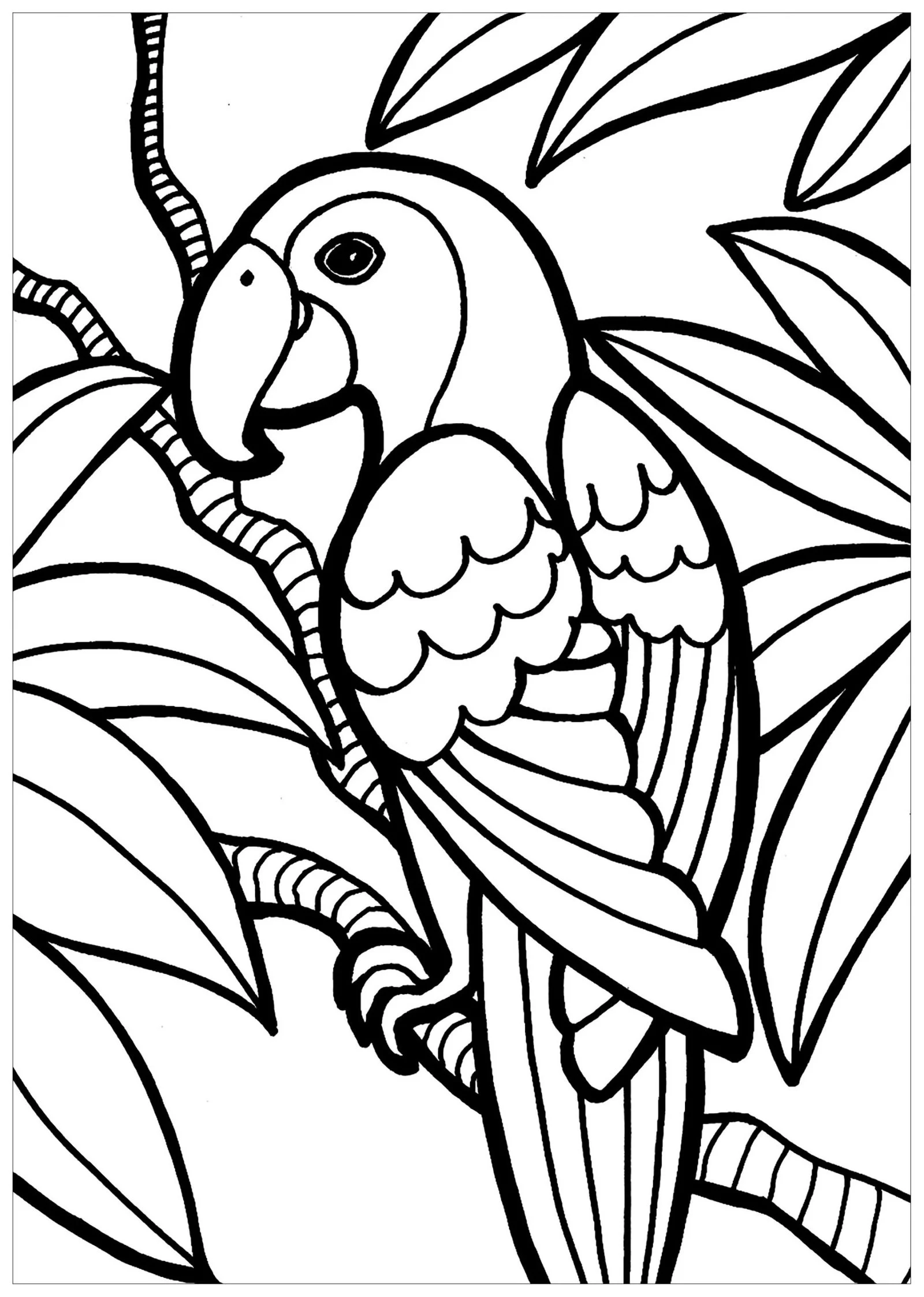 Desenhos de Passaro Fofo Para Colorir 34